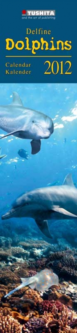 Dolphins - Delfine